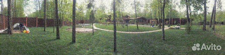 Укладка и продажа газона элитный