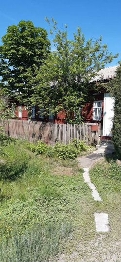 Дом 53 м² на участке 12 сот.