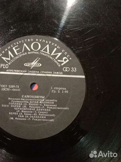 Виниловые пластинки