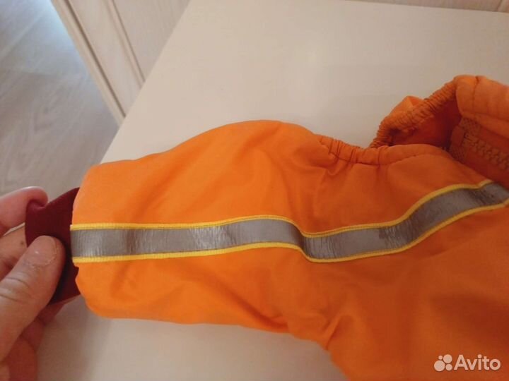 Дождевик для маленькой собаки