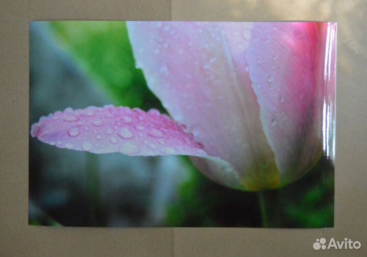 Постер для интерьера без рамки (авторское фото)