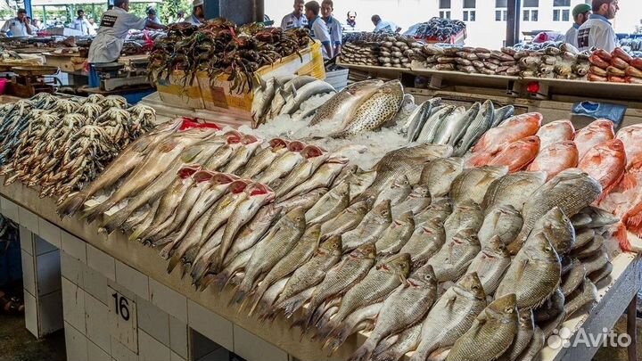 Магазин свежей рыбы и морепродуктов с доходом