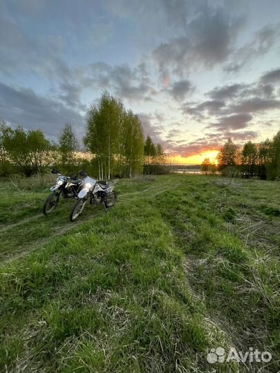 Sharmax 240 sport