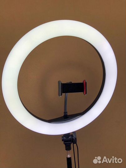 Кольцевая Лампа