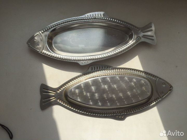 Рыбы селедочницы