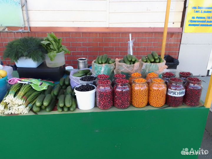 Брусника, Клюква