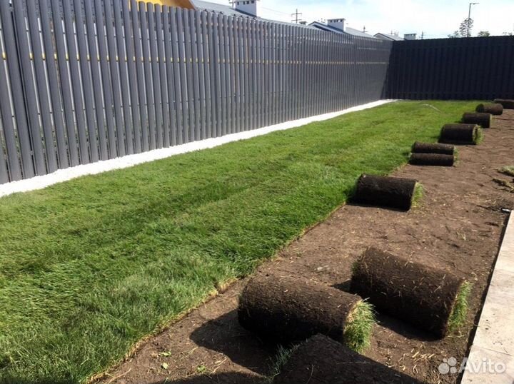 Укладка и продажа газона