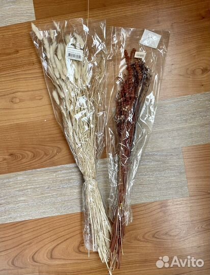 Сухоцветы для творчества