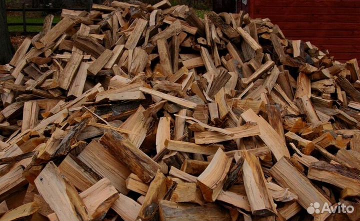Дрова в СПБ