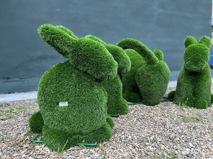 Топиари Топиарные фигуры Садовые фигуры