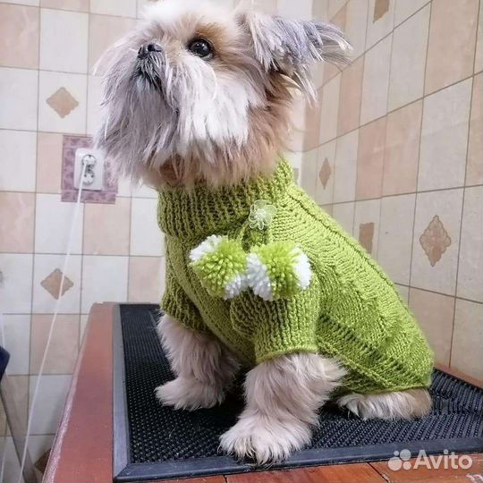 Вязаная одежда для животных