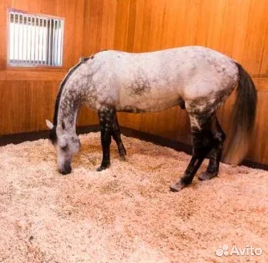 Постой для лошадей Мацеста