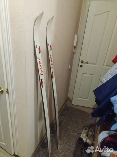 Горные лыжи