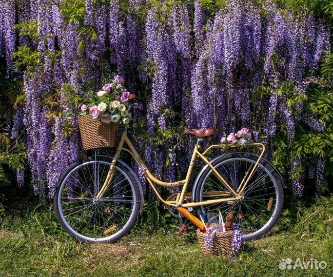 Велосипед винтажный