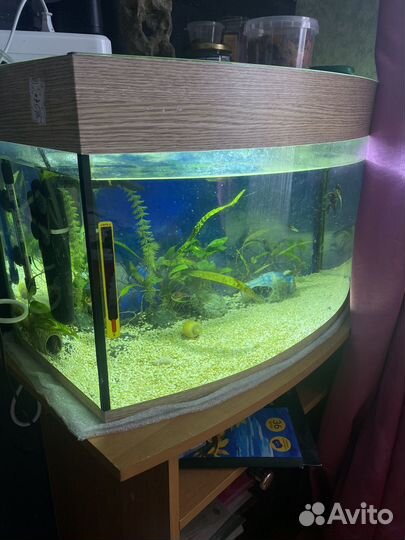 Аквариум 60л