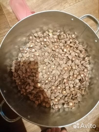 Хвостик от жёлудей