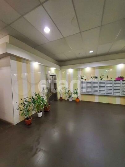 2-к. квартира, 48 м², 5/24 эт.