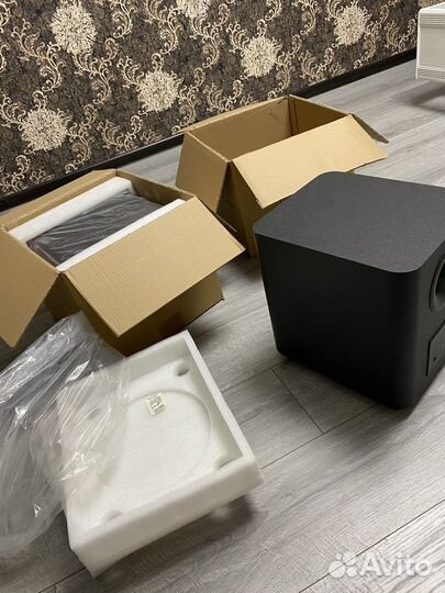 SD9821 Wireless Subwoofer