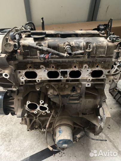 Двигатель ford focus 3 1.6 125