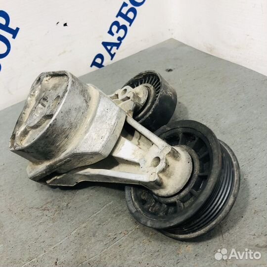 Натяжитель ремня Ford Focus