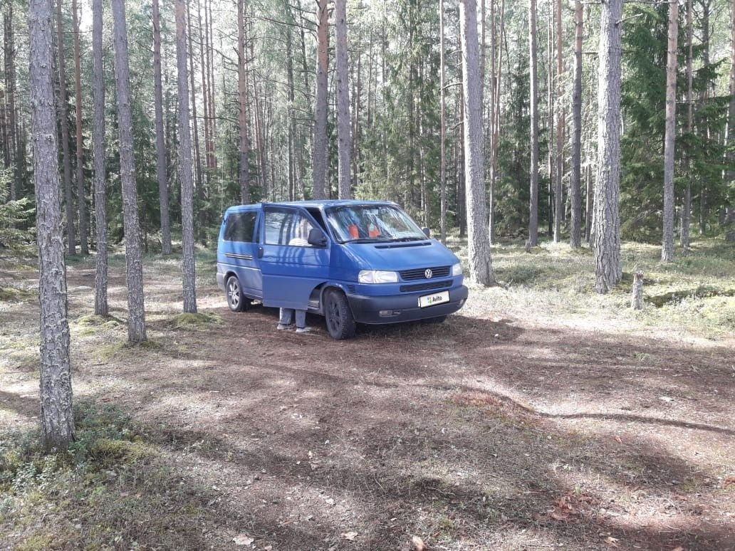 Volkswagen Transporter: фото владельца