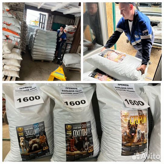 Корм для собак премиум социальная программа