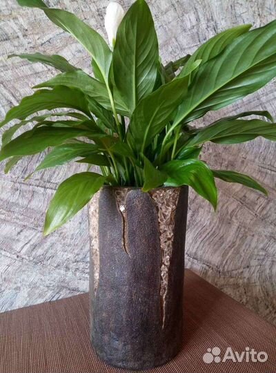 Вазы из арт-бетона