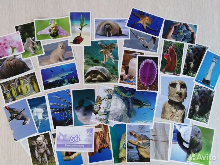 Наклейки, стикеры. Спар, Билла, Карусель