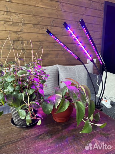 Фитолампа, лампа для рассады