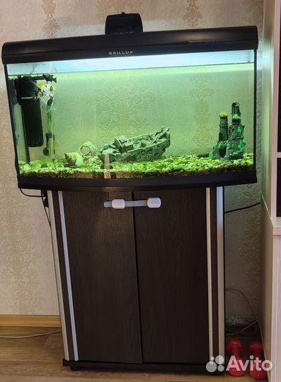 Аквариум. Пустой