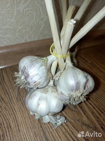 Чеснок