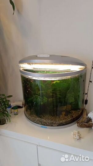 Аквариум с рыбками, насосом и пр
