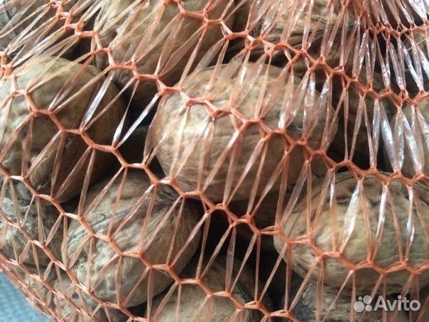 Грецкий орех