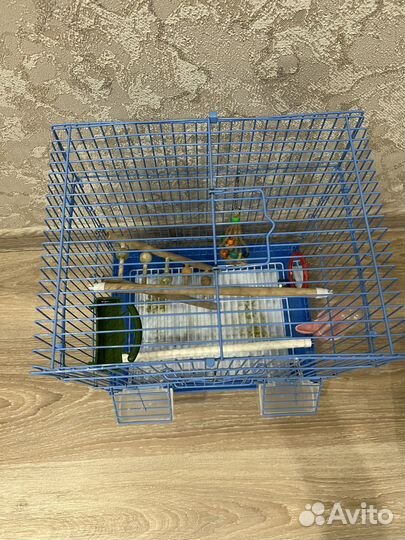 Клетка для попугая