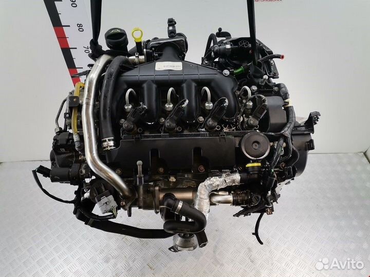 Двигатель (двс) для Ford Focus 2