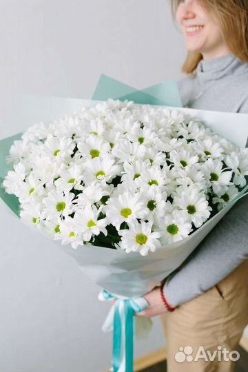 Хризантема кустовая ромашка