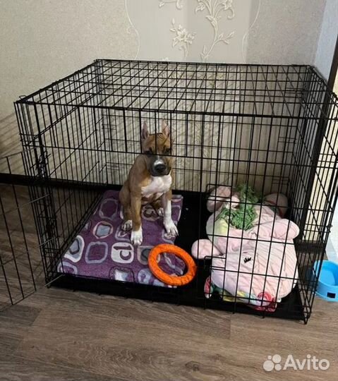 Клетка для собак, антивандальная + поддон