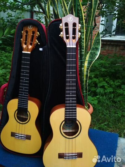 Уроки игры на укулеле, преподаватель