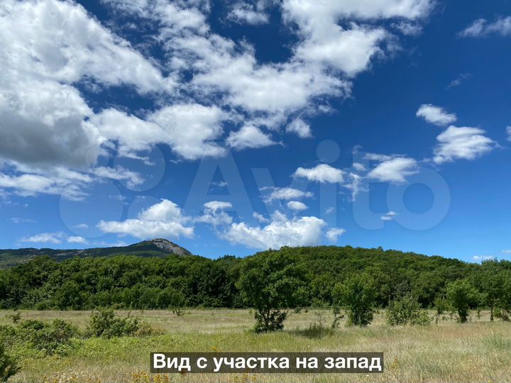Участок 1,56 га (СНТ, ДНП)