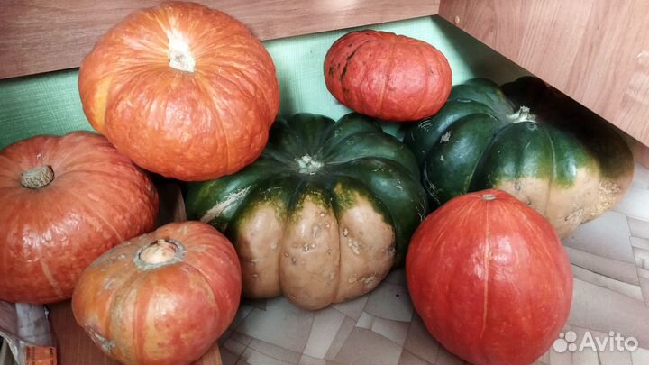 Тыквы