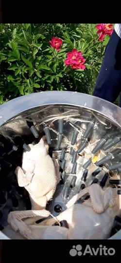 Перосъемная для гусей и уток