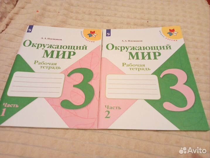 Рабочая тетрадь по окружающему миру 3 класс