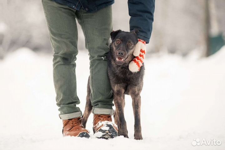 Кайли ищет дом