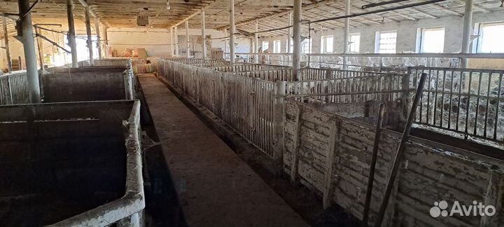 Животноводческая ферма продаю
