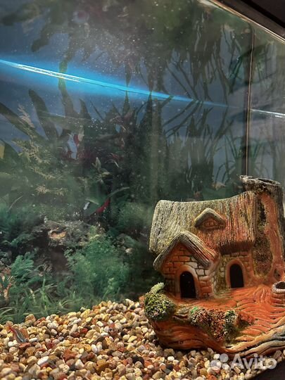 Аквариум