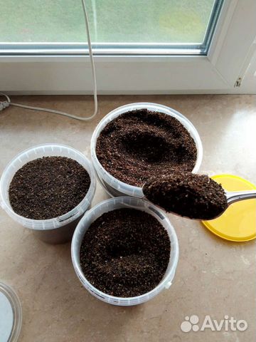 Пжвм. Для приготовления отваров, мазей, настоек и