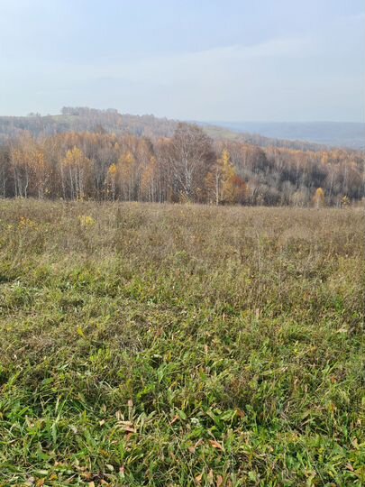 Участок 7 га (СНТ, ДНП)