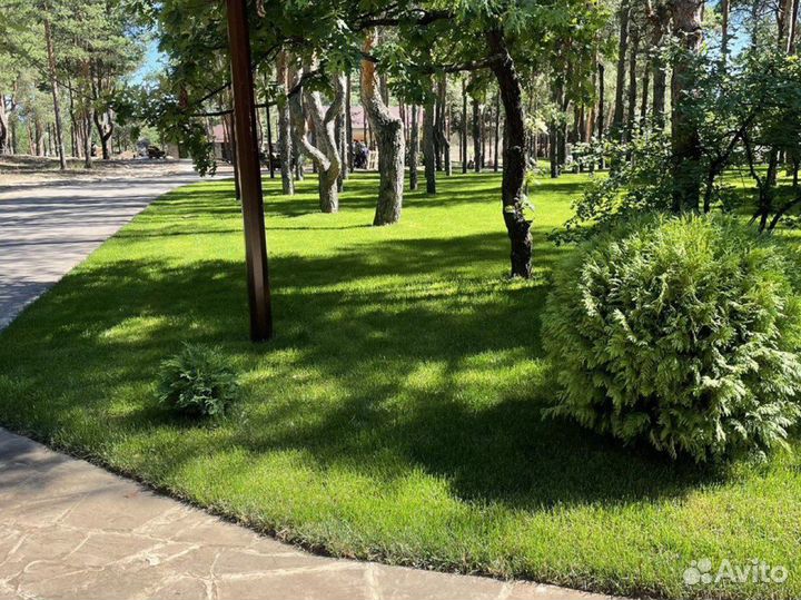 Рулонный Газон Волгоград Опт и Розница в наличии