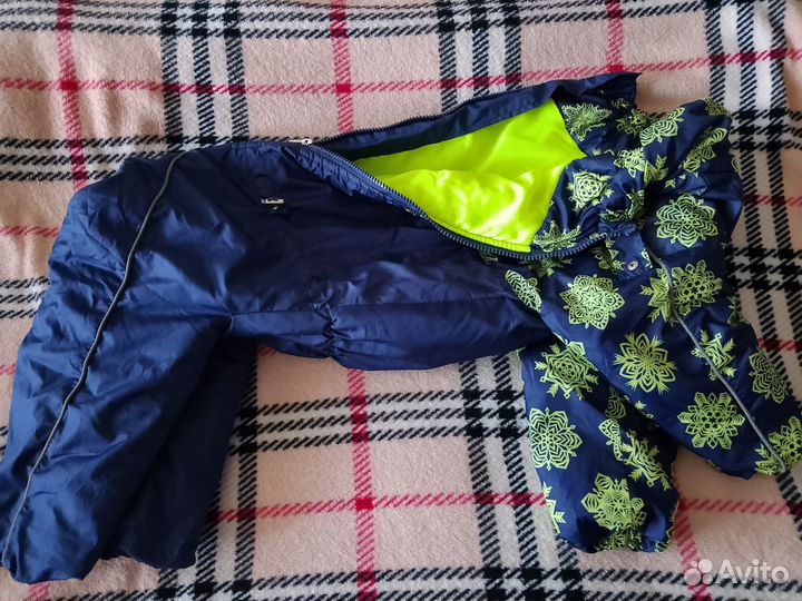 Одежда для средних собак