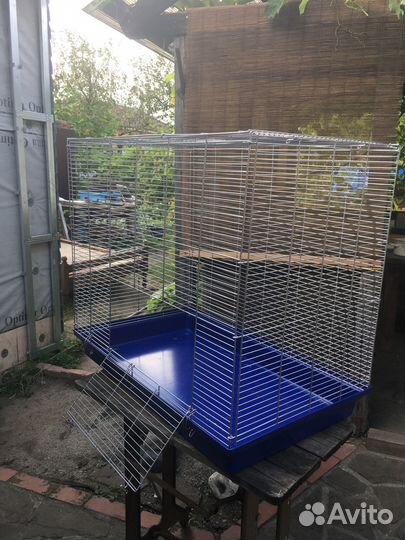 Большая клетка